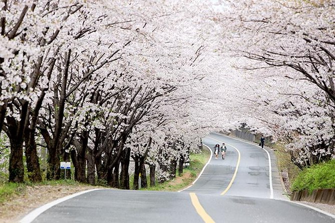 Small Group 7D Korea package Tour with Seoul Gyeongju Busan Jeju - Day 3: Busan markets, temples, and the coast