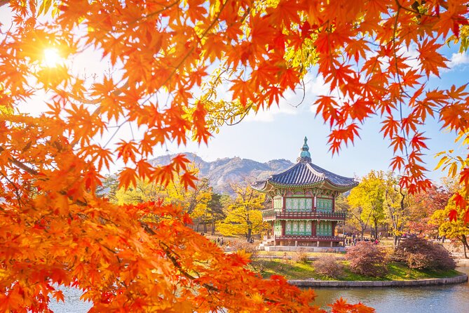 Small Group (7pax) Seoul Tour with Pickup/Dropoff (No Shopping) - A focused way to see Seoul in one day