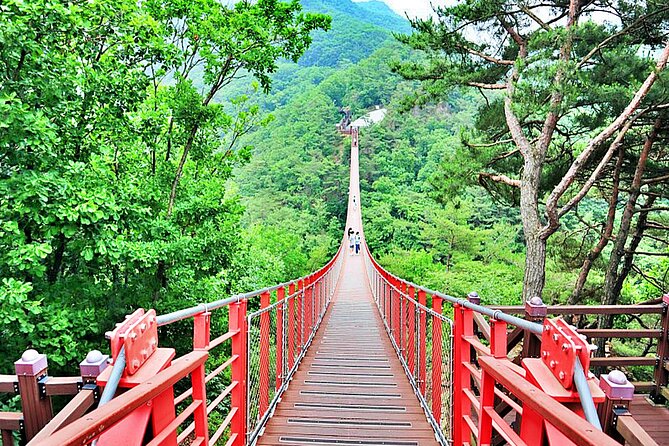Small-Group DMZ Tour w/ North Korea Experience Hall & Susp.Bridge - Why this DMZ day feels different from a standard Seoul outing