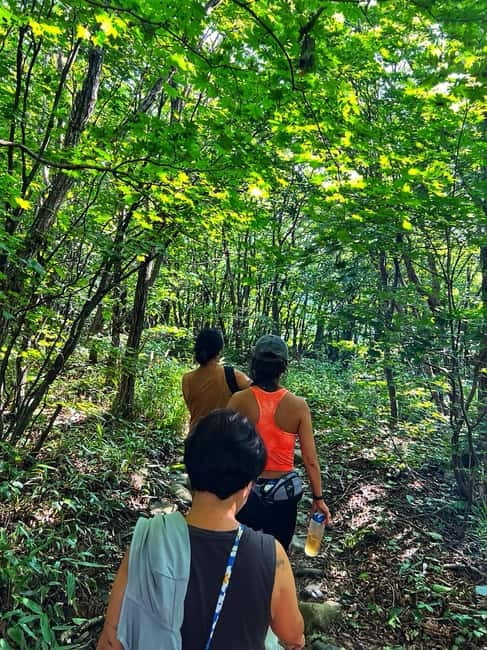 Small Group Hike on Mt. Bukhan’s Secret Paths & Local Lunch - Why Min changes the feel of the outing