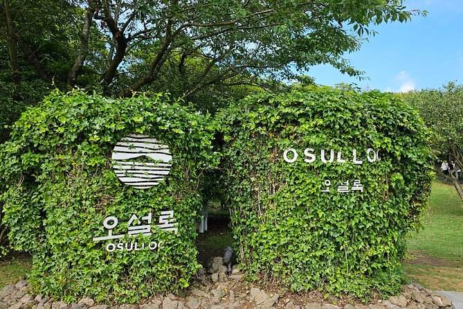 Small group Jeju private Full-Day Tour of East and South and West - Yongmeori Coast, where geology controls the schedule