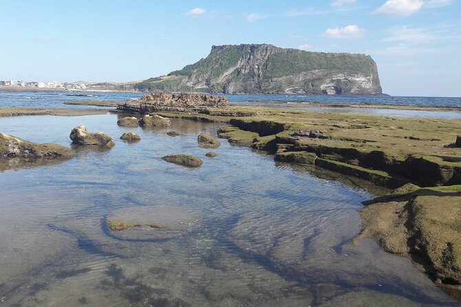Small group Private Taxi Tour DAY experience in Jeju island - Why a private taxi makes sense on Jeju