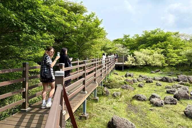 Small Group Tour for Jeju Fall Pink Muhly, Tangerines & Mt. Halla - Cheonjeyeon Falls through the forest
