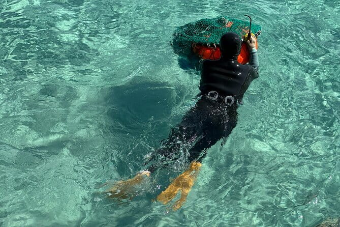 Small Group Tour in East Jeju Healing Island w/Woman Divers Show - Hamdeok Beach starts the day gently