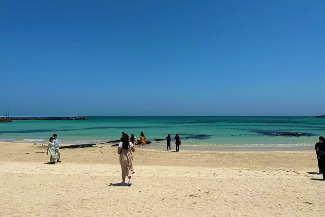 Small Group Tour in East Jeju Healing Island w/Woman Divers Show - Local lunch keeps the meal practical