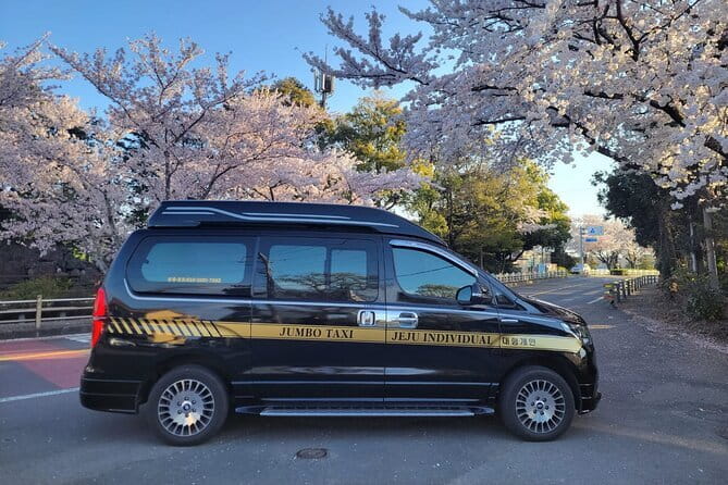 Small Group Tour in South Jeju Healing Island w/Mt. Halla & Falls - O’Sulloc Tea Museum and Innisfree Jeju House