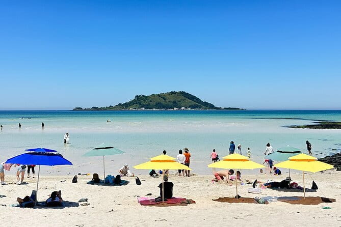 Small Group Tour in West Jeju Healing Island w/Caves & Dolphins - Key points at a glance