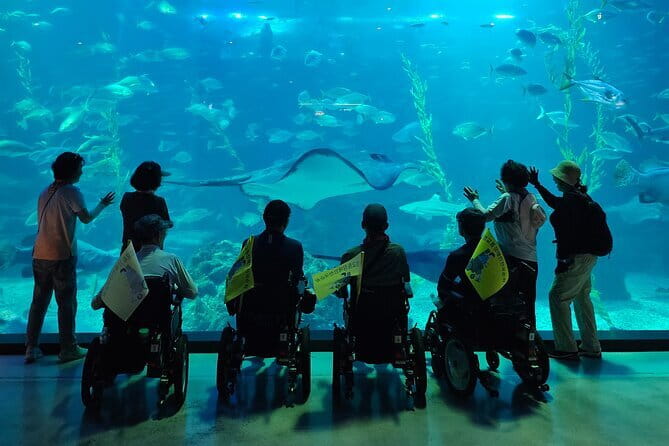 Small Group Tour in West Jeju Healing Island w/Caves & Dolphins - O’Sulloc Tea Museum and the Jeju tea stop