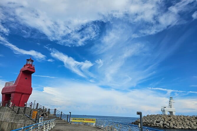 Small Group Tour in West Jeju Healing Island w/Caves & Dolphins - A short dolphin watch at Conch Park