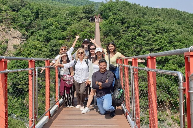 Small Group Tour to DMZ & Suspension Bridge with Hotel Pickup - Dora Observatory and the uncertain view north