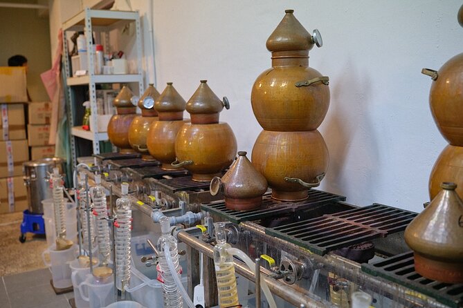 Soju Tasting at Distillery - story of 3 pigs - Timing, transport, and the practical details