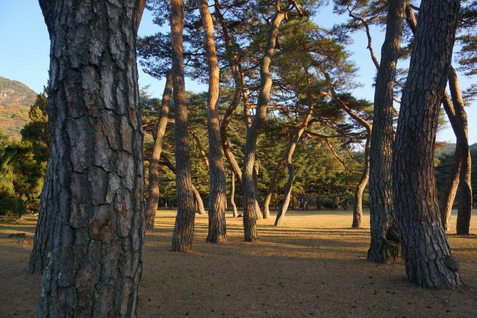Songnisan National Park & Beopjusa Temple UNESCO site Private Tour - Choosing between the two-hour walk and Munjangdae