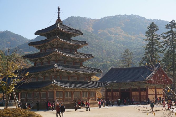 Songnisan National Park & Beopjusa Temple UNESCO site Private Tour - Lunch and the late-day schedule