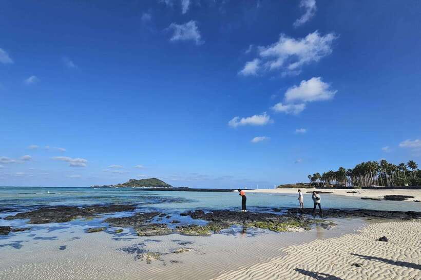 South-West Jeju Essentials: Hallasan & Signature Highlights - What the guides add to the day