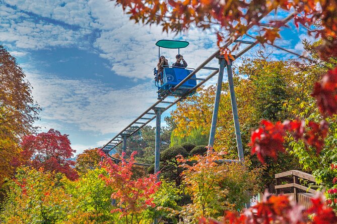 Special Private Tour Nami Island, Rail Bike, Petite France - Why this private Seoul day trip works