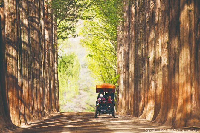Special Private Tour Nami Island, Rail Bike, Petite France - Pedaling the old Gyeongchun Line at Gangchon