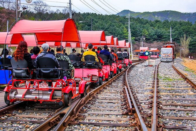 Special Private Tour Nami Island, Rail Bike, Petite France - Chuncheon chicken barbecue at Hoewon Garden