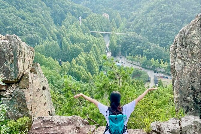 Suwon Hwaseong Fortress & Jangtaesan Full-Day Tour: Autumn Leaves - What the $59.57 price really covers