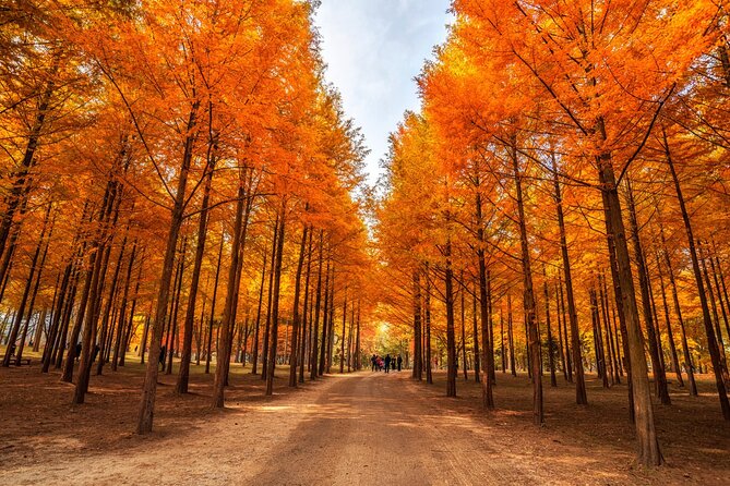 Trip to Nami Island with Petite France & Italian Village, Garden of Morning Calm - Petite France: colorful, theatrical, and not for everyone