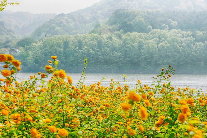 Trip to Nami Island with Petite France & Italian Village, Garden of Morning Calm - Italian Village: a compact stop with a fine lake view
