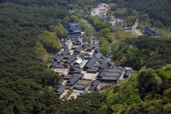 UNESCO Tongdosa Temple + Gourmet Eonyang Style Bulgogi Lunch - What the guide adds beyond the buildings