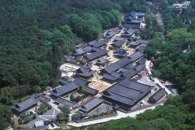 UNESCO Tongdosa Temple + Gourmet Eonyang Style Bulgogi Lunch - Timing, pace, and the return to Busan