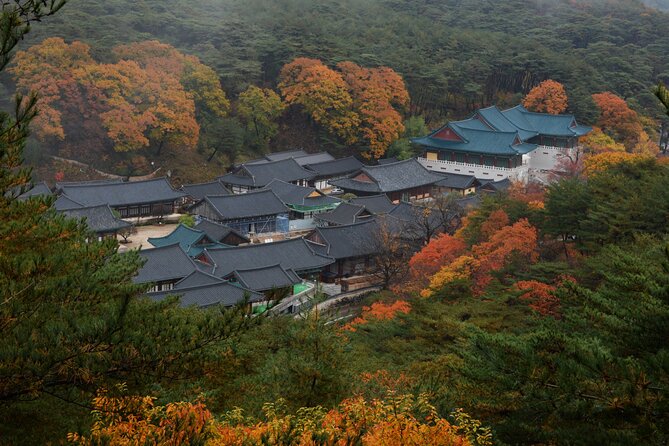 UNESCO Tongdosa Temple + Gourmet Eonyang Style Bulgogi Lunch - Is $212 per person fair value?