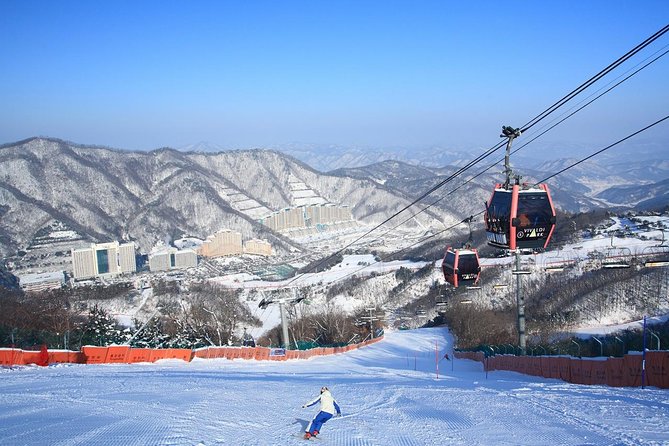 Vivaldi Park Winter Ski Resort with Nami Island Tour from Seoul - Quick facts for planning your day