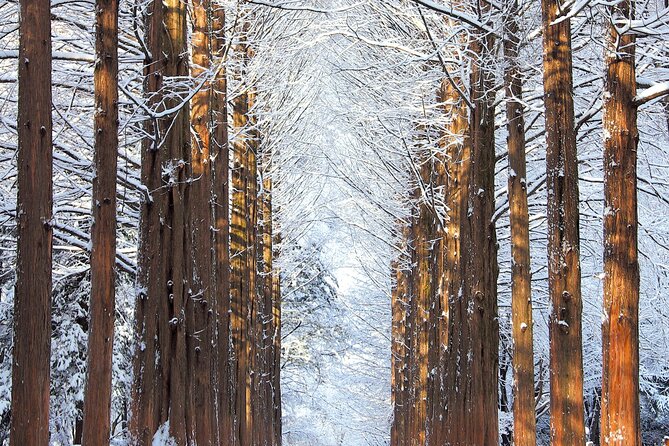 Vivaldi Park Winter Ski Resort with Nami Island Tour from Seoul - Transport, timing, and group size