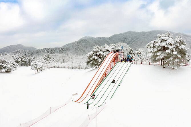 Vivaldi Park Winter Ski Resort with Nami Island Tour from Seoul - Useful preparation before departure