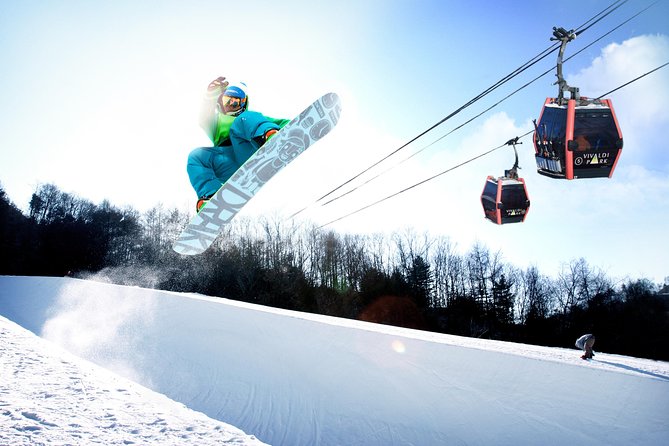 Vivaldi Park Winter Ski Resort with Nami Island Tour from Seoul - Choosing between five package types