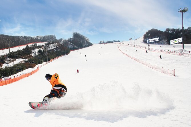 Vivaldi Park Winter Ski with Eobi Ice Valley Day Tour from Seoul - Key details before you book