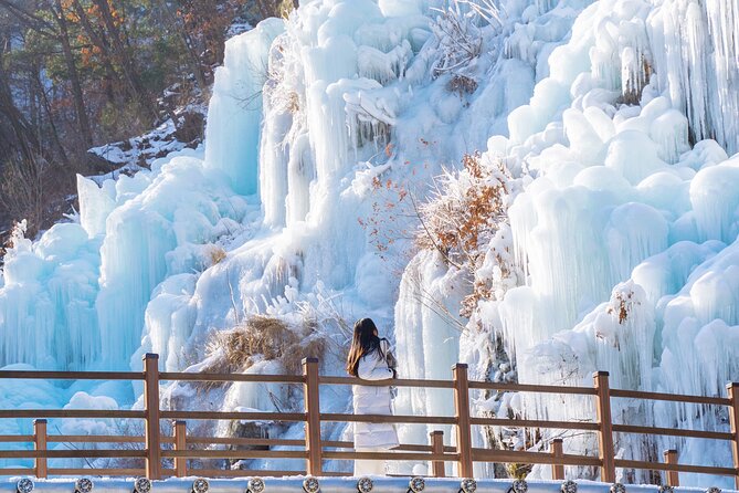 Vivaldi Park Winter Ski with Eobi Ice Valley Day Tour from Seoul - Booking, cancellation, and safety notes