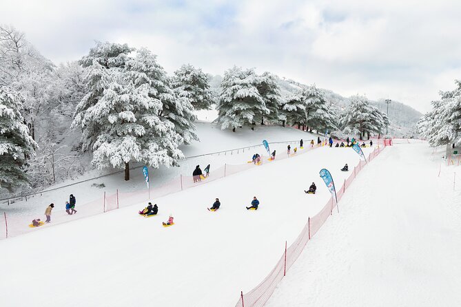 Vivaldi Park Winter Ski with Eobi Ice Valley Day Tour from Seoul - Eobi Ice Valley and its frozen walls