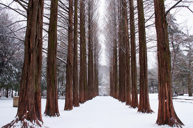Winter Sonata TV Tour on Nami Island from Seoul - Walking the filming sites on Nami Island