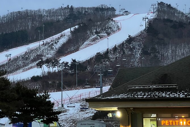 Yongpyong Ski Resort from Seoul with Optional Lesson and Packages - Key points to know before booking