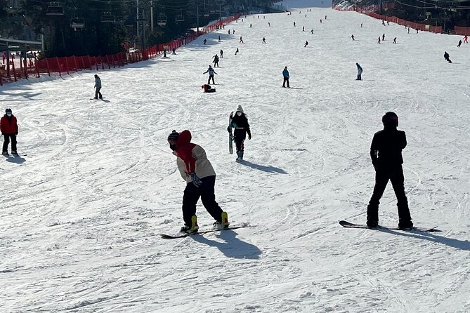 Yongpyong Ski Resort from Seoul with Optional Lesson and Packages - The Balwangsan Cable Car and Skywalk option